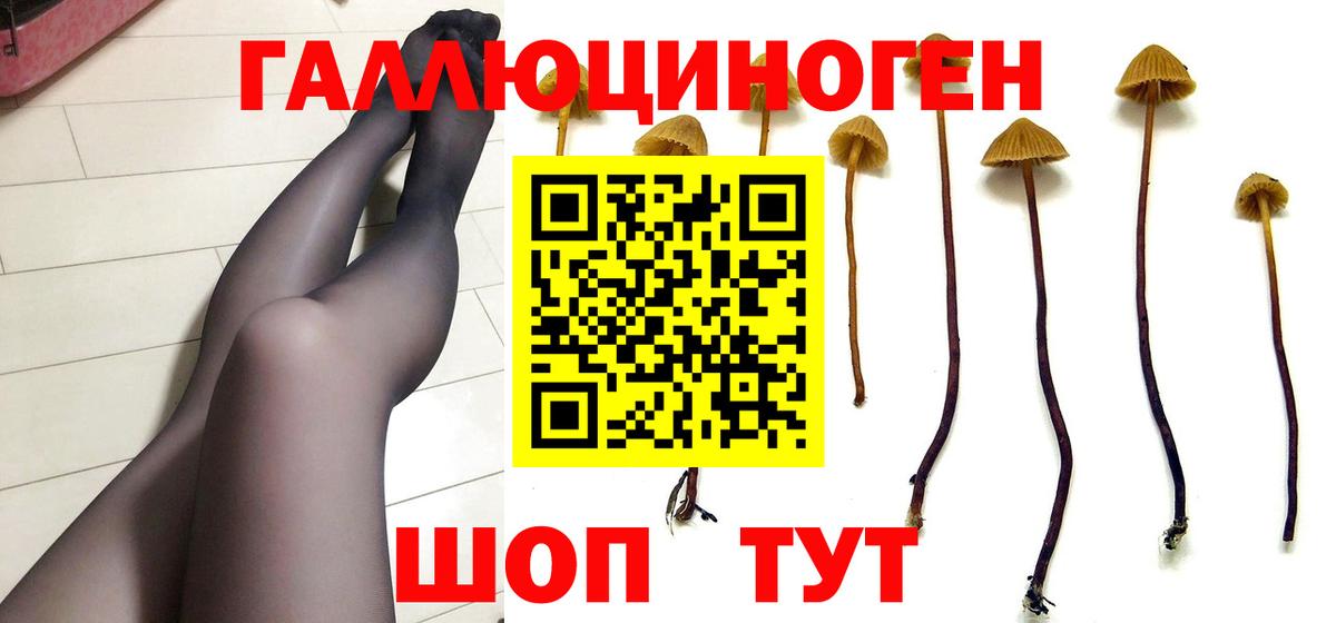 Галлюциногенные грибы GOLDEN TEACHER  Галлюциногенные грибы Psilocybe  Родники  Вход с VPN 